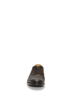 Men's Ckarl Wingtip Oxford