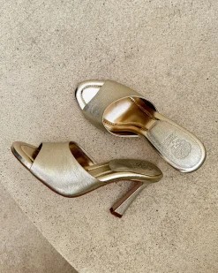 Paigely Mule